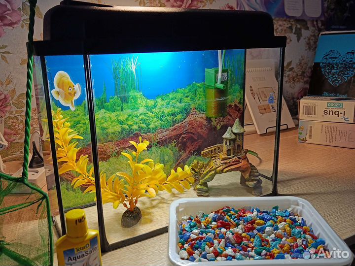Аквариум