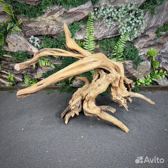 Коряга для аквариума Корень Азалии (нк431)