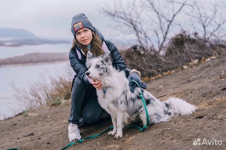 Прогулки Слушатель Собеседник Друг на час