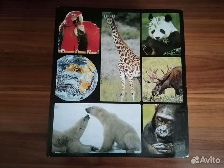 Большая детская энциклопедия о животных