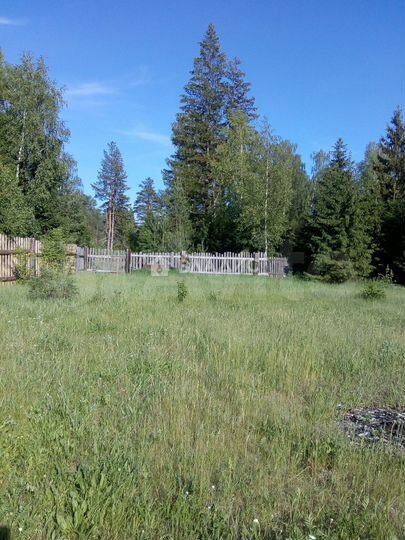 Участок 12 сот. (СНТ, ДНП)