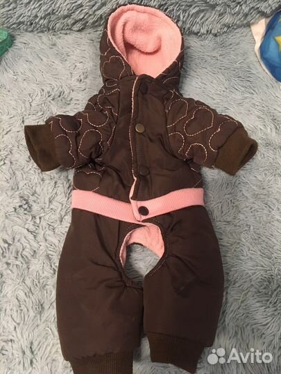 Одежда для собак