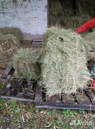 Сено в тюках