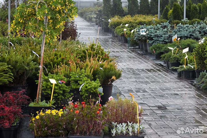 Помощник - разнорабочий