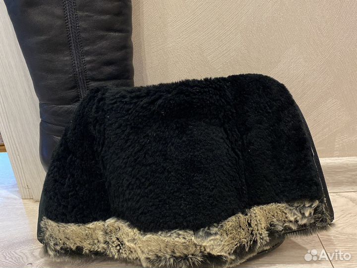 Саоги зимние