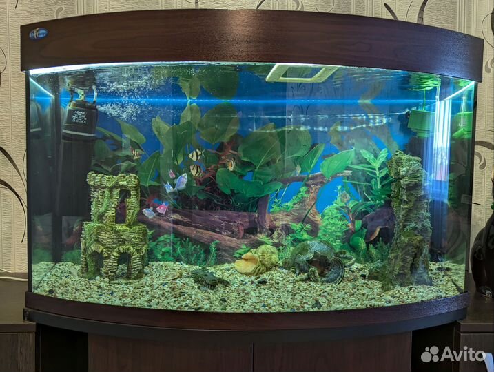 Аквариум 140 литров с тумбочками и декорациями