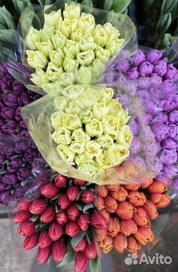 Цветы букеты с доставкой,тюльпаны,8 марта