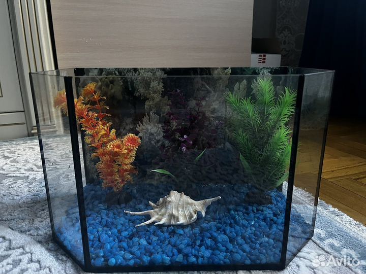 Аквариум