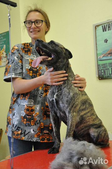 Груминг собак, стрижка собак, стрижка кошек,грумер