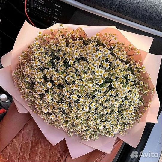 Ромашки Букет из ромашек доставка