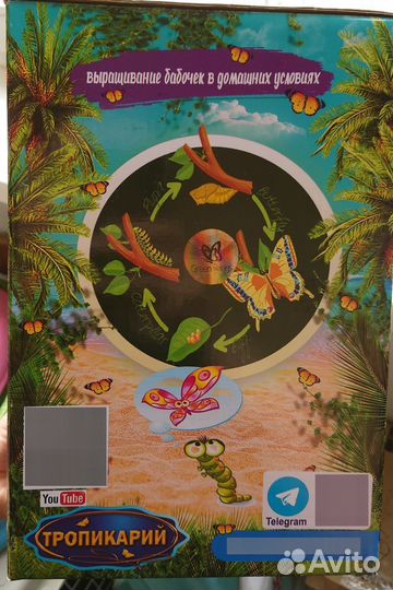 Ферма для выращивания бабочек