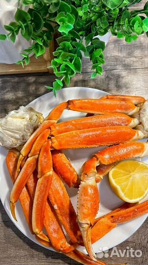 Рыба и морепродукты