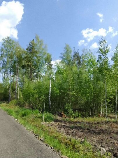Участок 8,8 сот. (СНТ, ДНП)