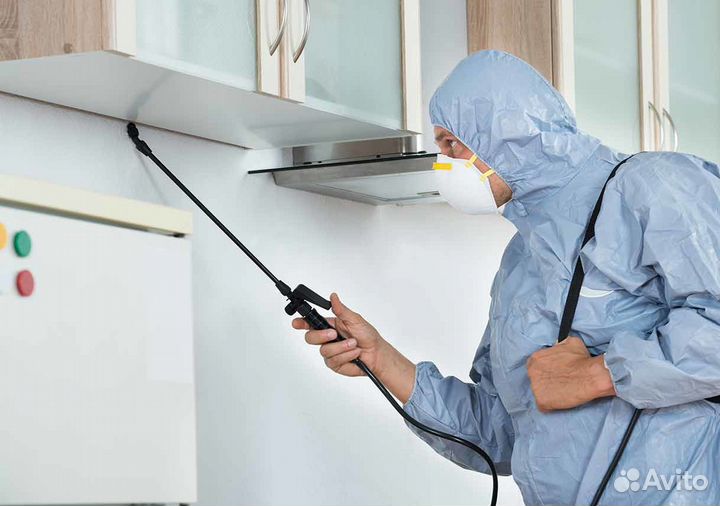 Уничтожение клопов, тараканов и других насекомых