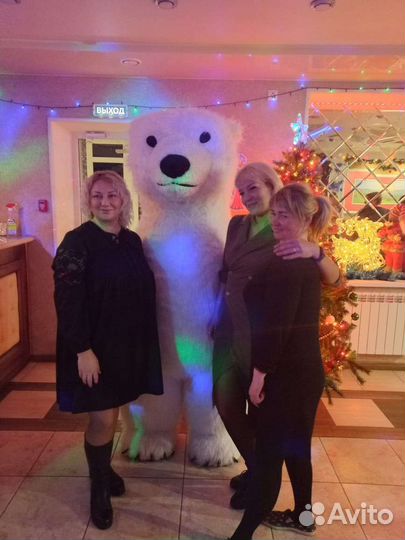 Современный ведущий на вашу свадьбу