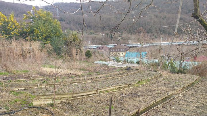 Участок 26 сот. (ИЖС)