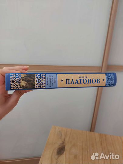 Котлован - Платонов (в прекрасном и яростном мире)