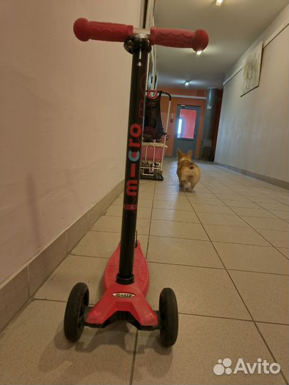 Самокат трехколесный maxi micro