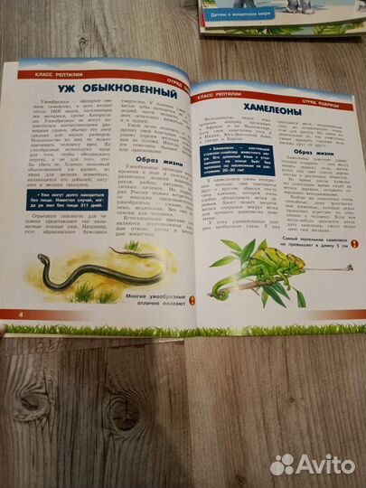 Детская энциклопедия животных