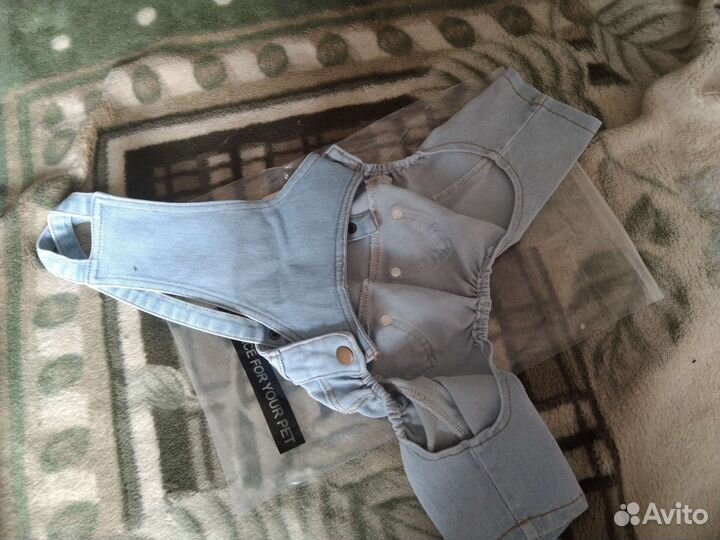 Штаны для собаки