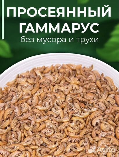 Гаммарус 1л 100гр