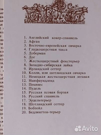 Набор открыток