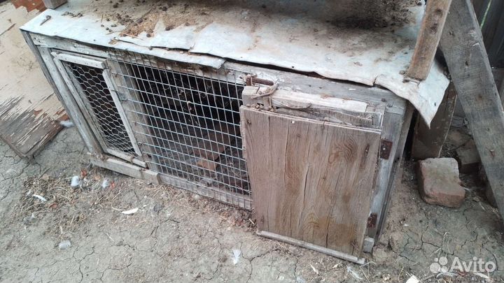 Клетки для кроликов бу