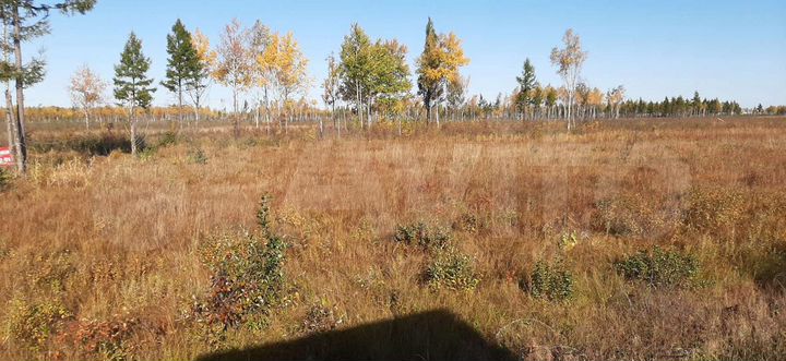 Участок 27,5 га (СНТ, ДНП)