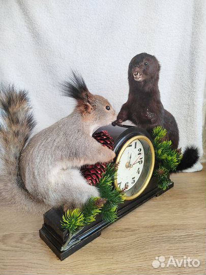 Чучело белки норки на часах