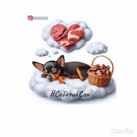 Лакомства для собак