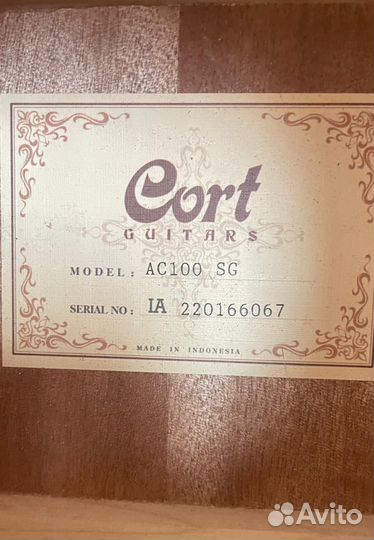 Гитара Cort AC100 с утепленным чехлом