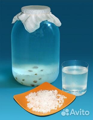 Индийский морской рис