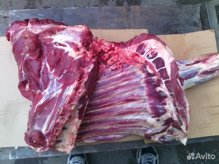 Мясо телятины