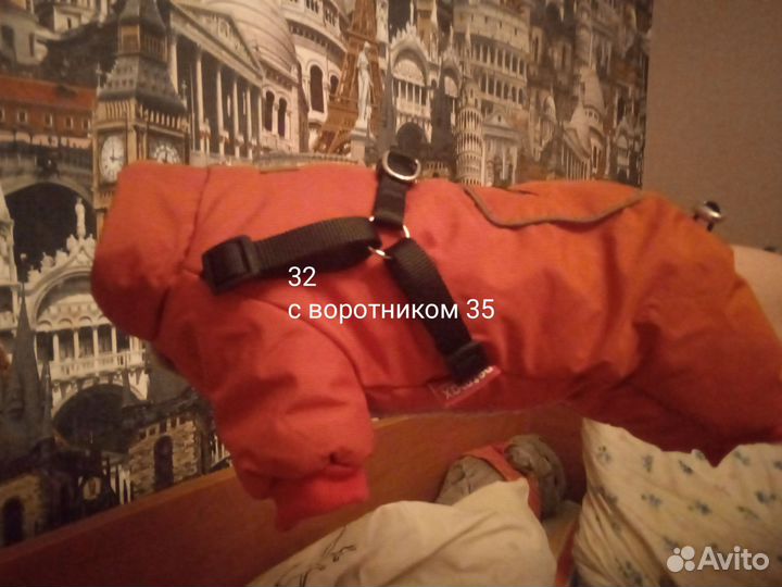 Комбинезон для собаки