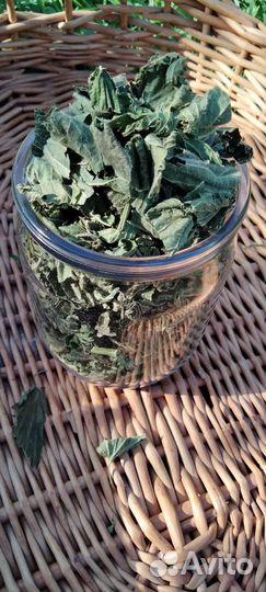 Крапива, листья