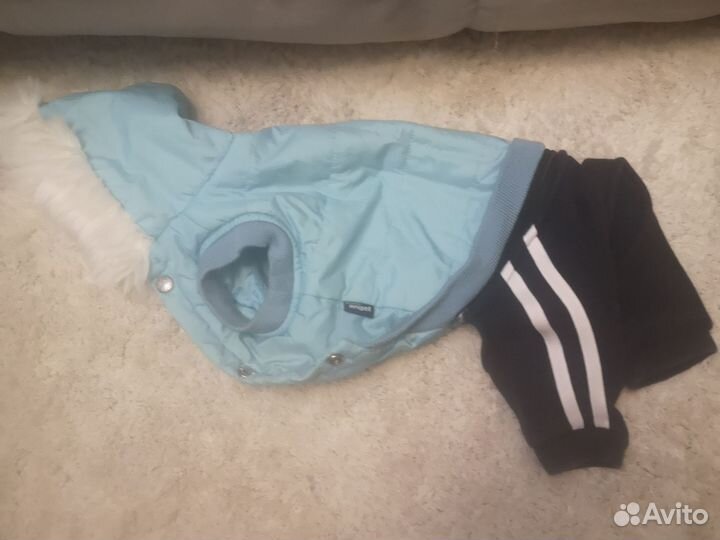 Комбинезон для маленькой собаки