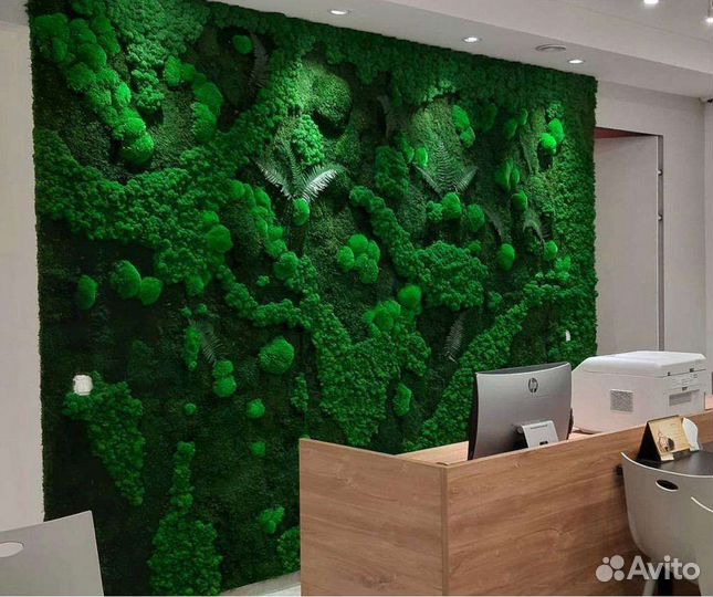 Фитокартина мох