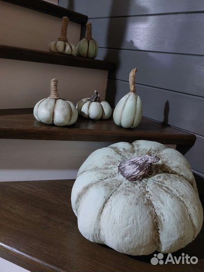 Тыква декоративная