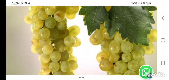 Продажа винограда