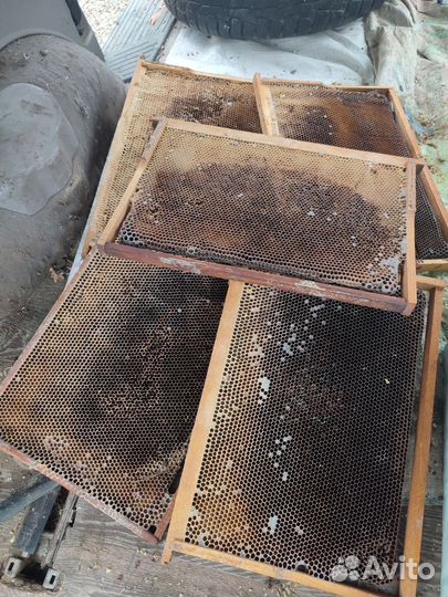 Сушь для пчел