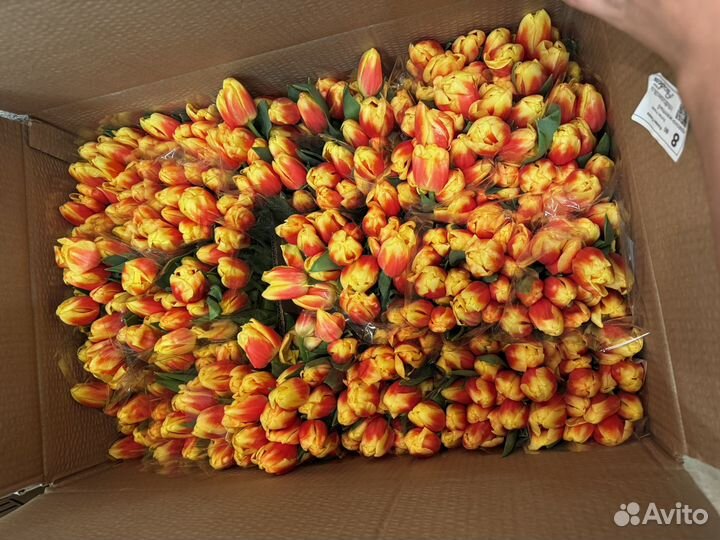 Тюльпаны к 8 марта букет