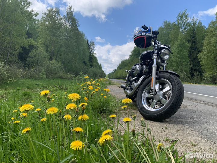 Harley Davidson sportster 1200 xl
