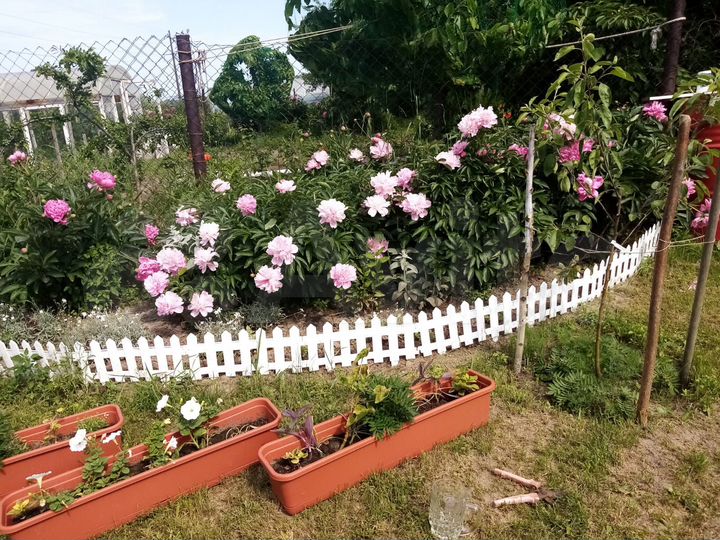 Дом 118 м² на участке 14 сот.