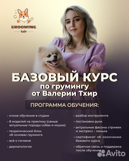 Обучение грумингу