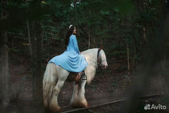 Фотосессии с лошадьми конный фотограф