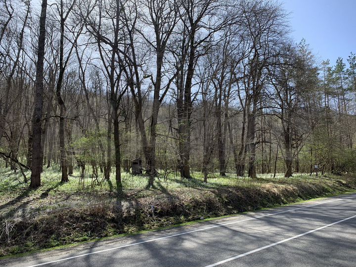 Участок 73 сот. (СНТ, ДНП)