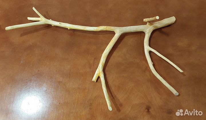 Коряга в аквариум