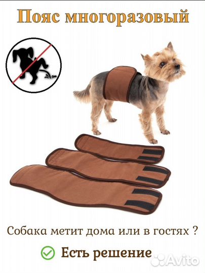 Пояс для кобелей многоразовый