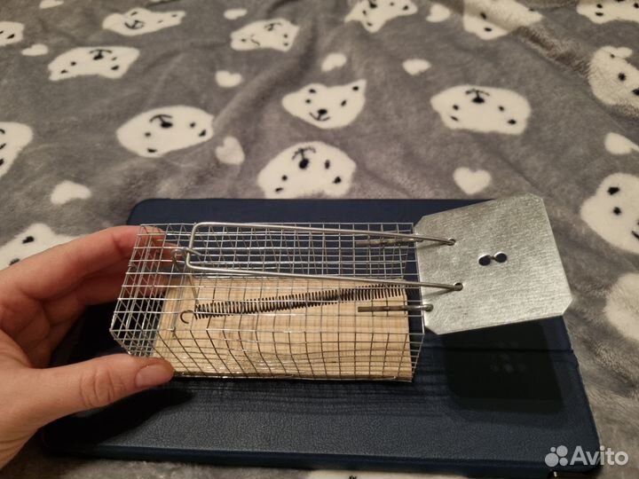 Мышеловка гуманная