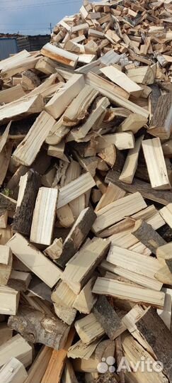 Дрова березовые